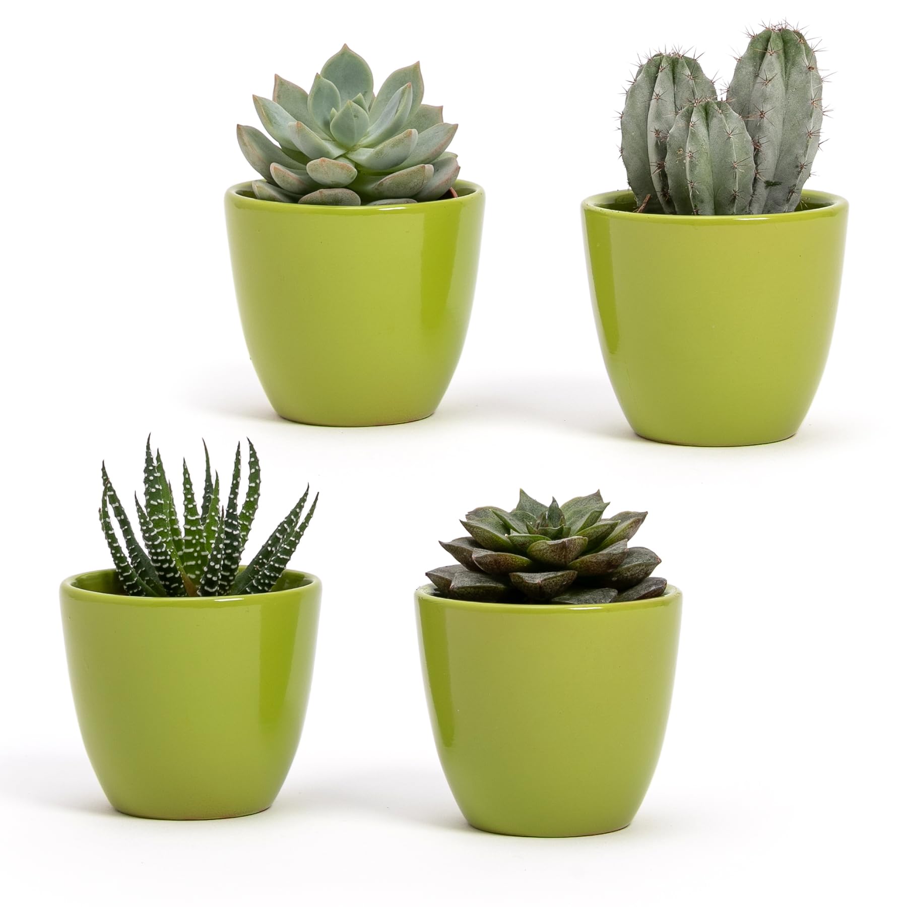 Ceramica Vasi di Piante Grasse Set di 6, Vaso da fiori Cactus con Foro di Scaric