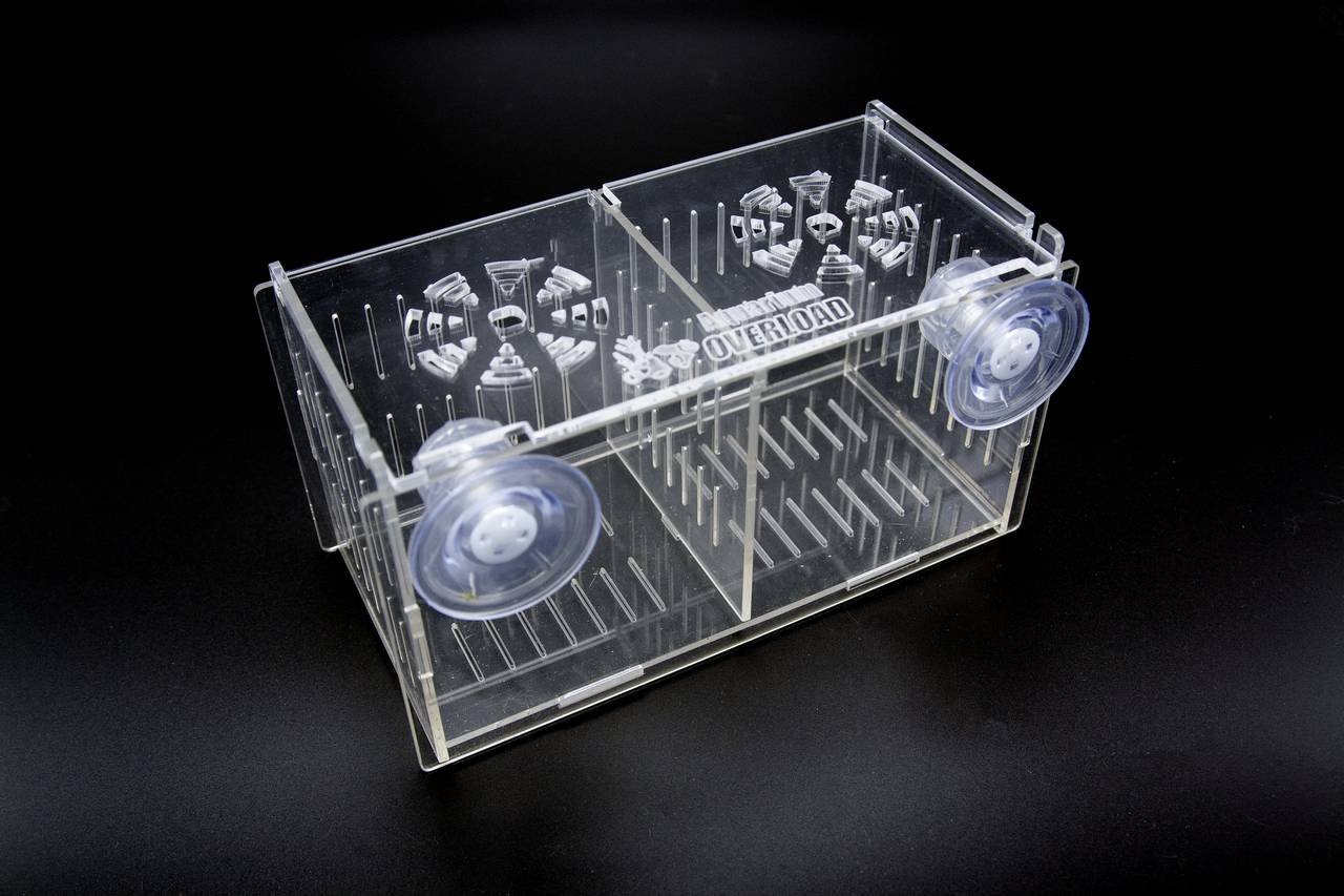 Amazon.com : Aquarium Overload Clear Acclimation Box 8x4x4 : Pet Supplies