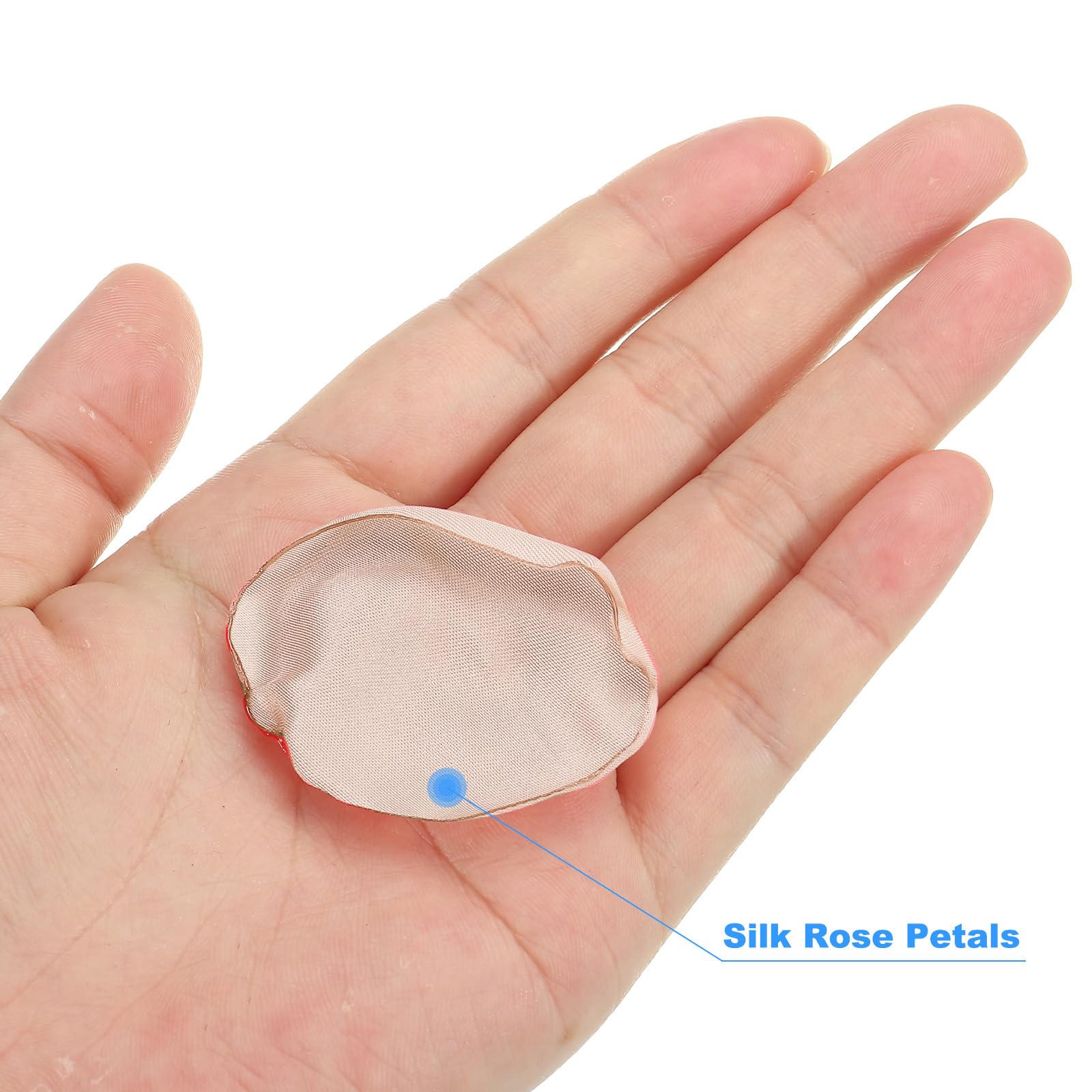 PATIKIL Silk Rose Petals - Image 4