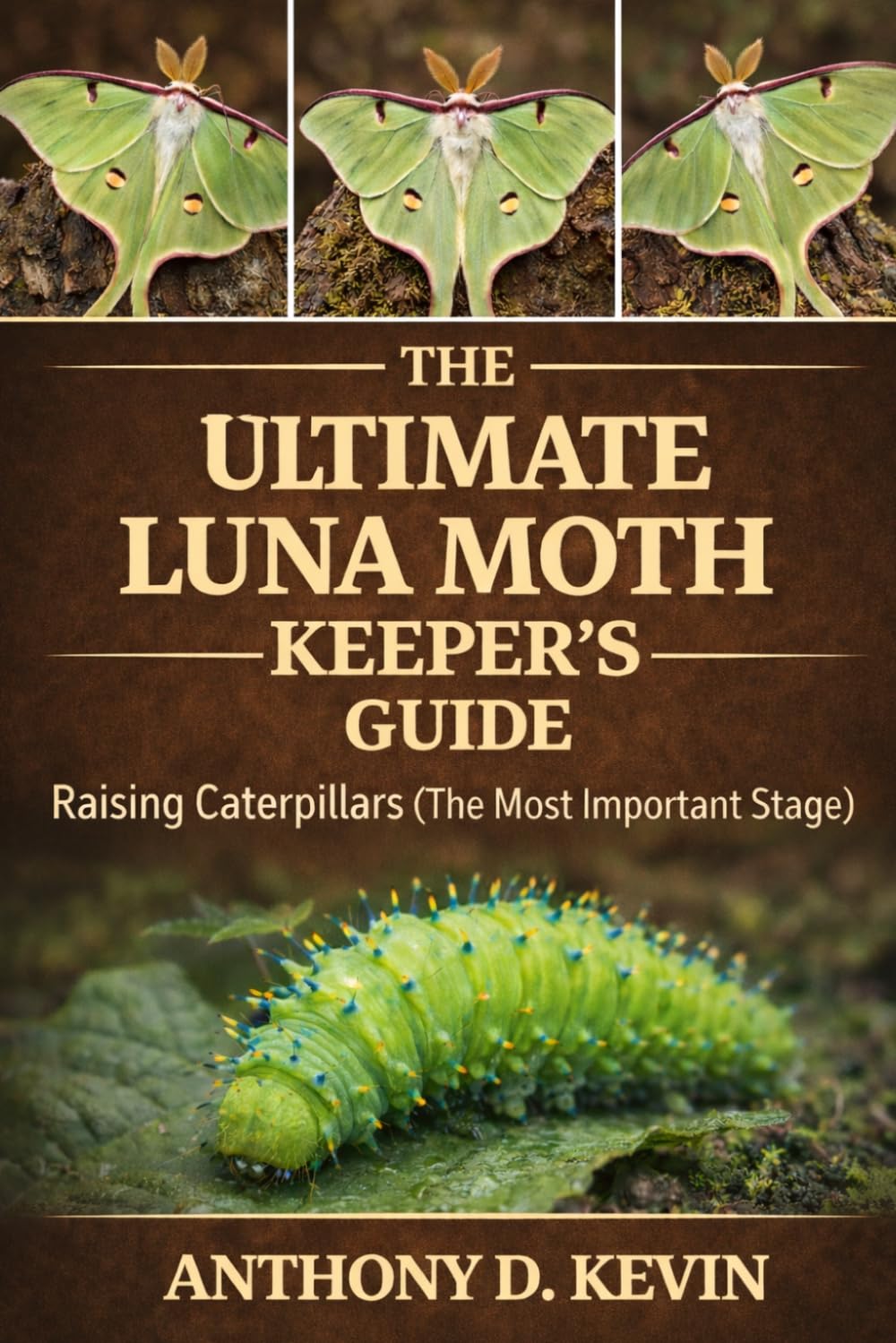 THE ULTIMATE LUNA MOTH KEEPER’S GUIDE: Raising Caterpillars (The Most Important Stage)