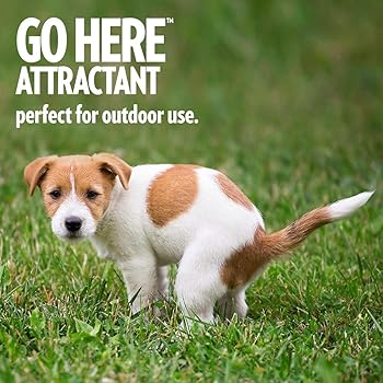 out go here attractant