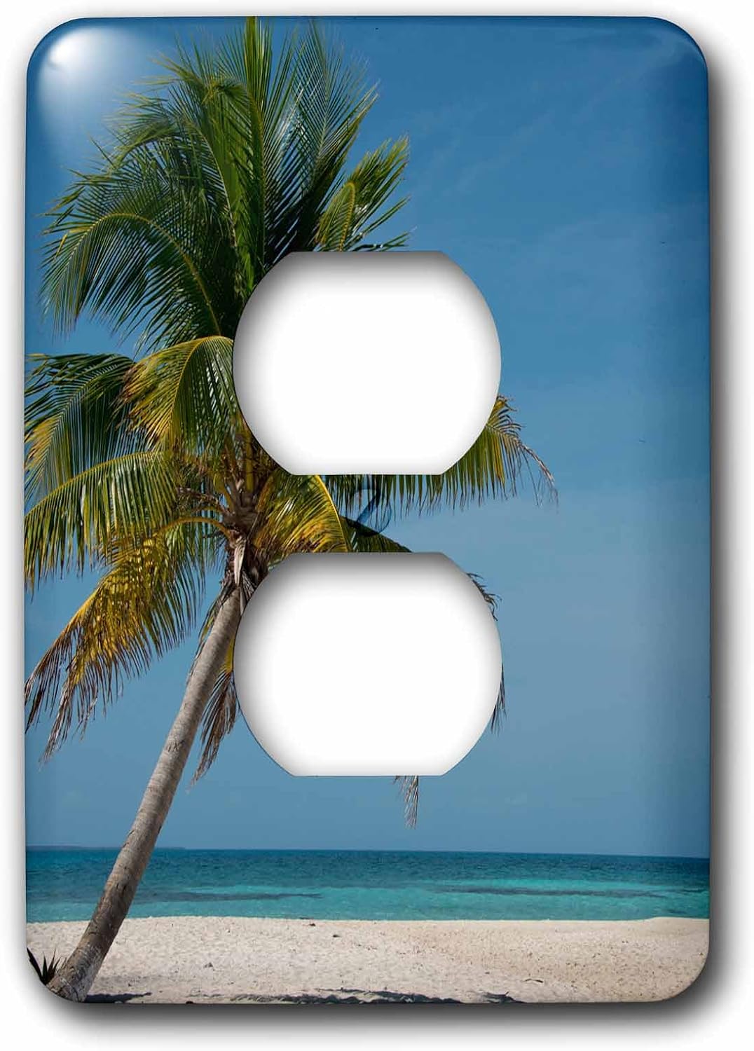 3dRose lsp_206888_6 Belize. Palm Tree And White Sand Beach At Goff Caye. - 2 Plug Outlet Cover