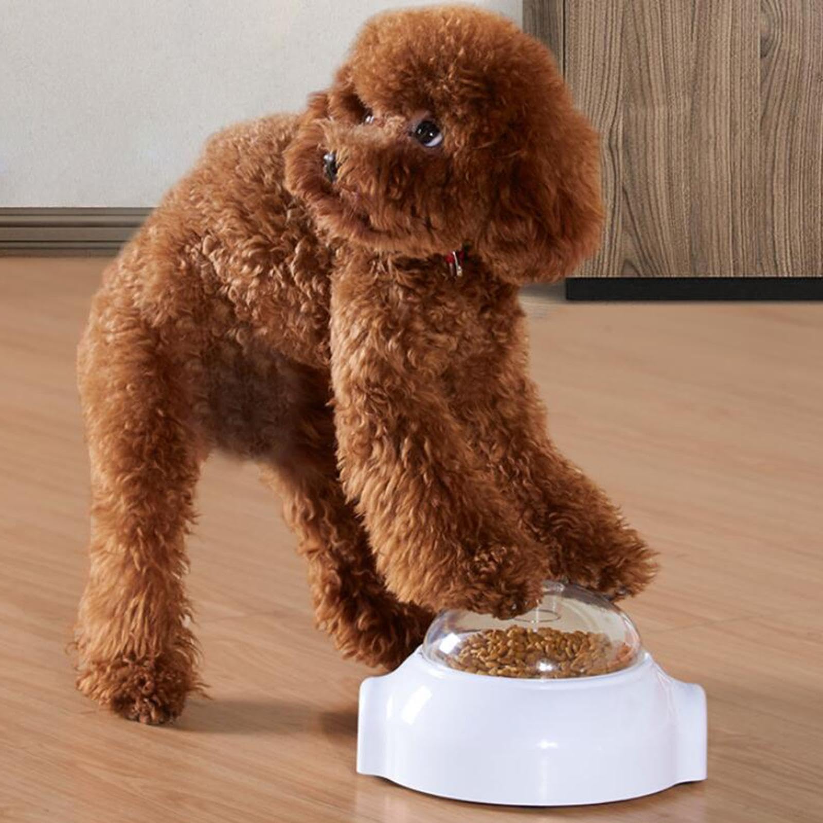 Dispensador de, Juguete Dispensador de Comida de Acción Lenta, Juguetes Interactivos para Perros, Juguete Dispensador de para Perros P, S