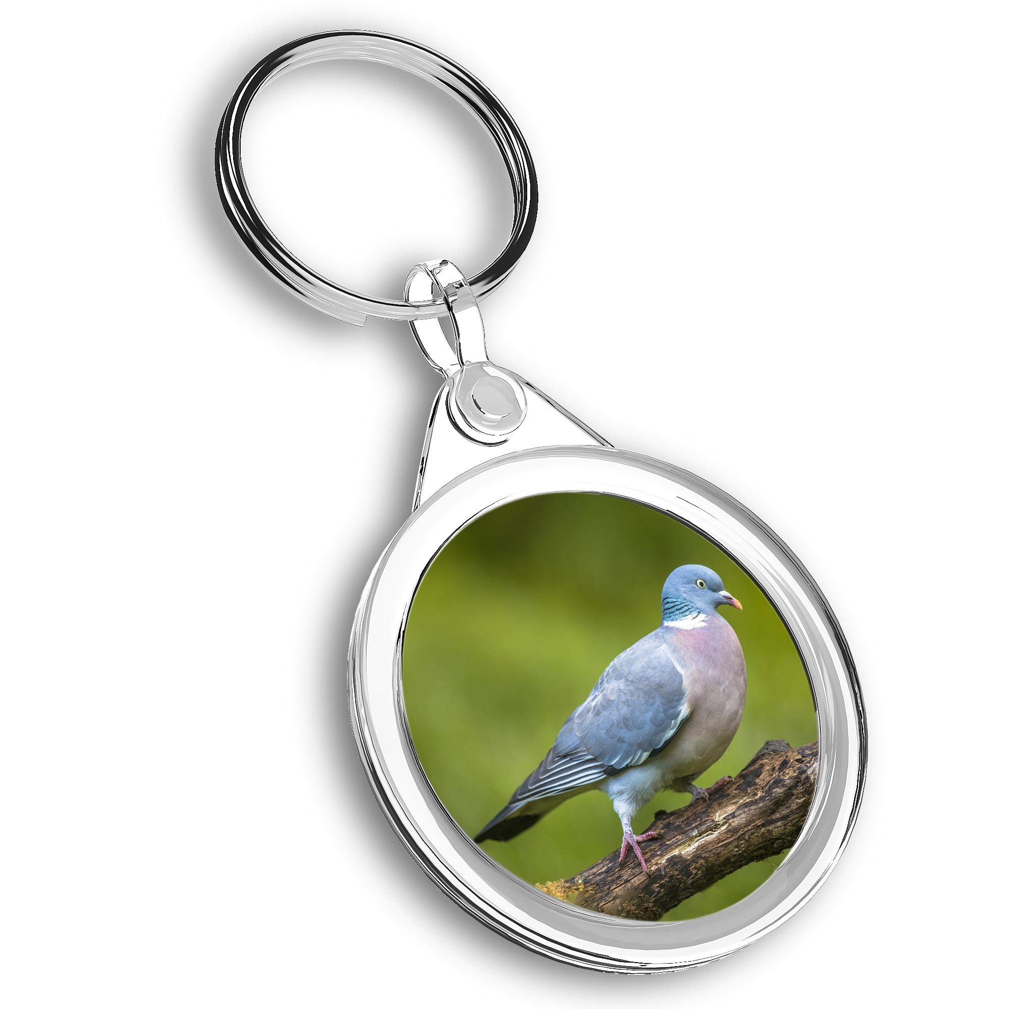 Destination Vinyl Ltd 1 x Photo Keyring - Wood Pigeon Wild Garden Bird |Keychain|Keyring|Charm| #46469