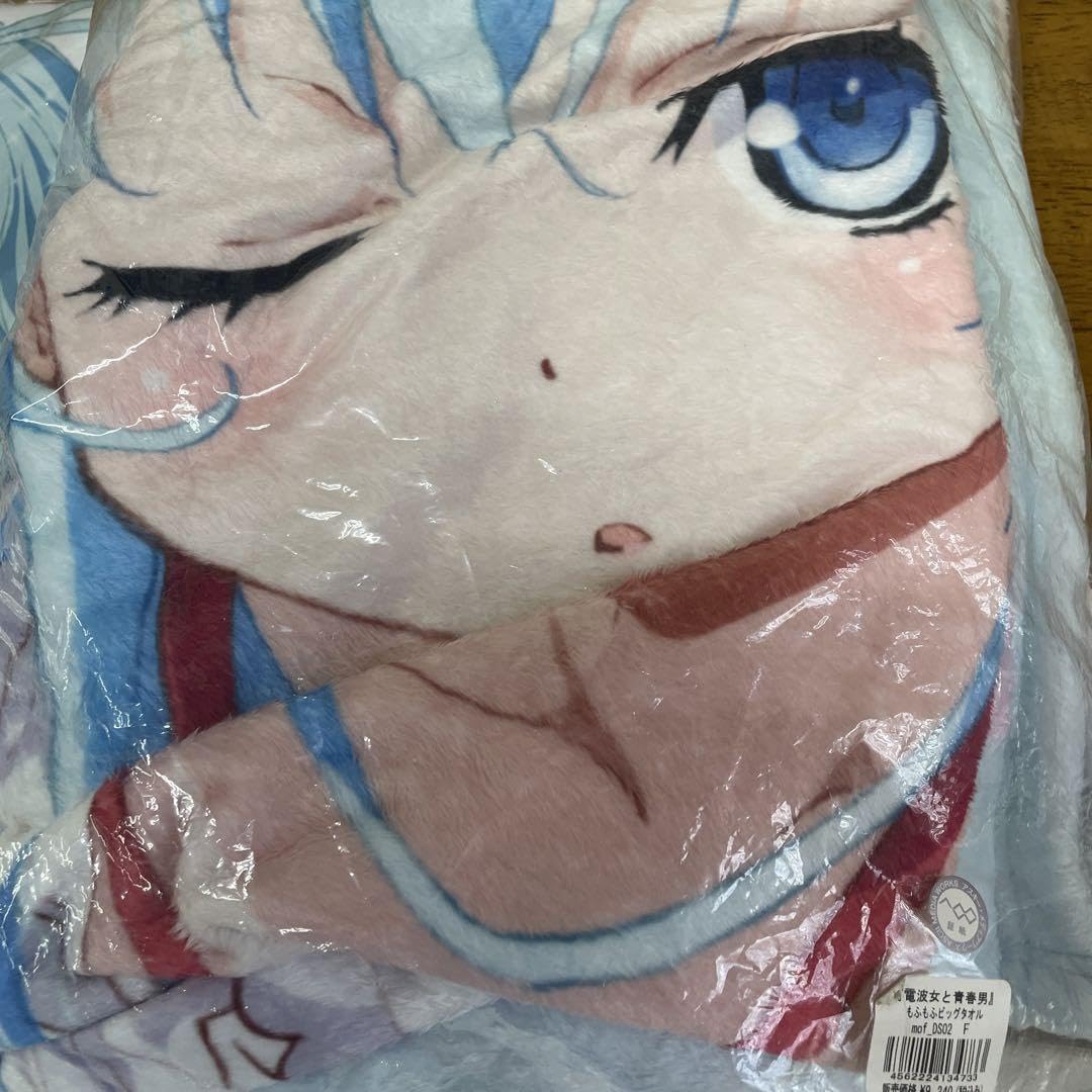 電波女と青春男 抱き枕カバー、布団カバー、ビッグタオル、スポーツ