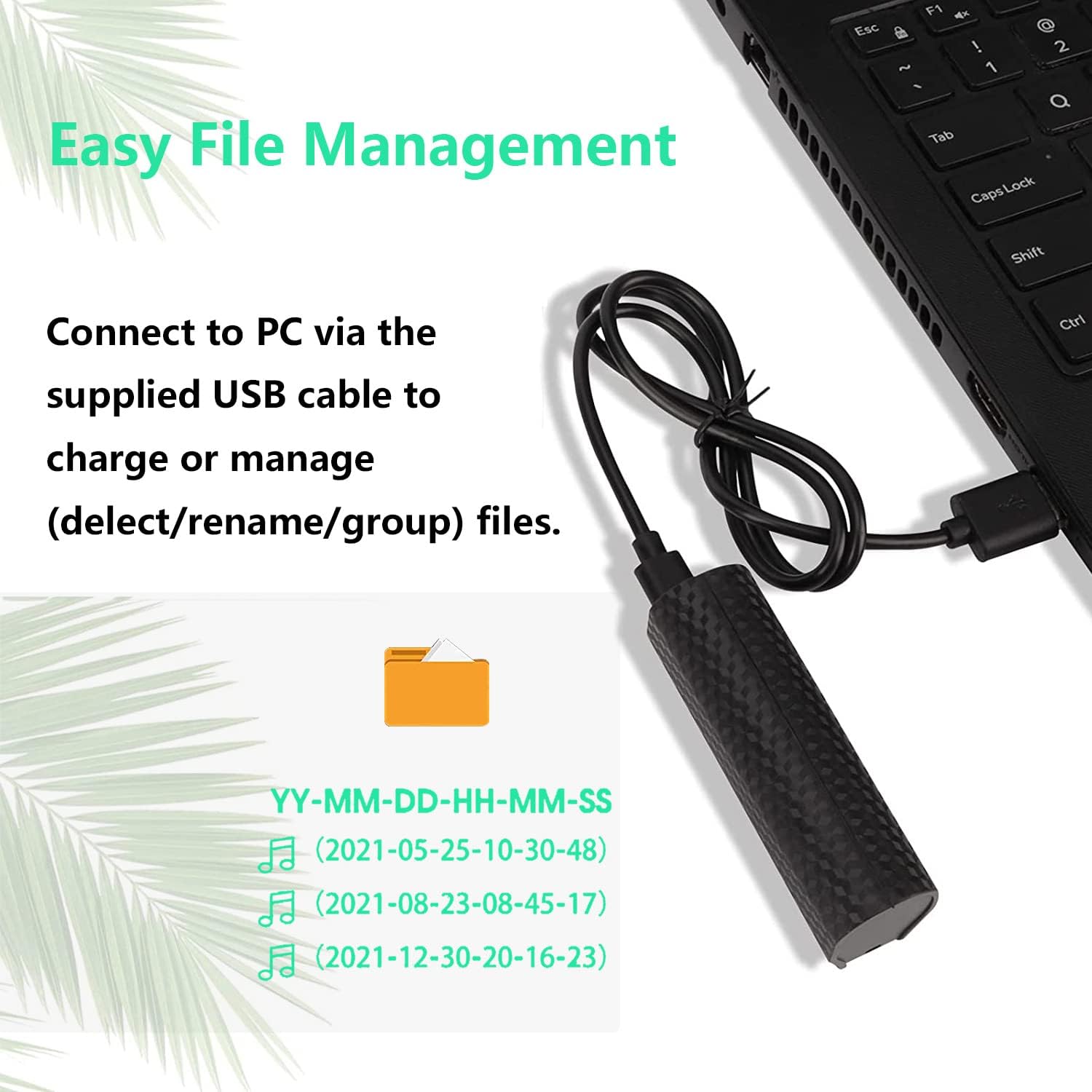 PGDLOF L660 recorder connected to a laptop via USB cable, showing file management on the computer screen.