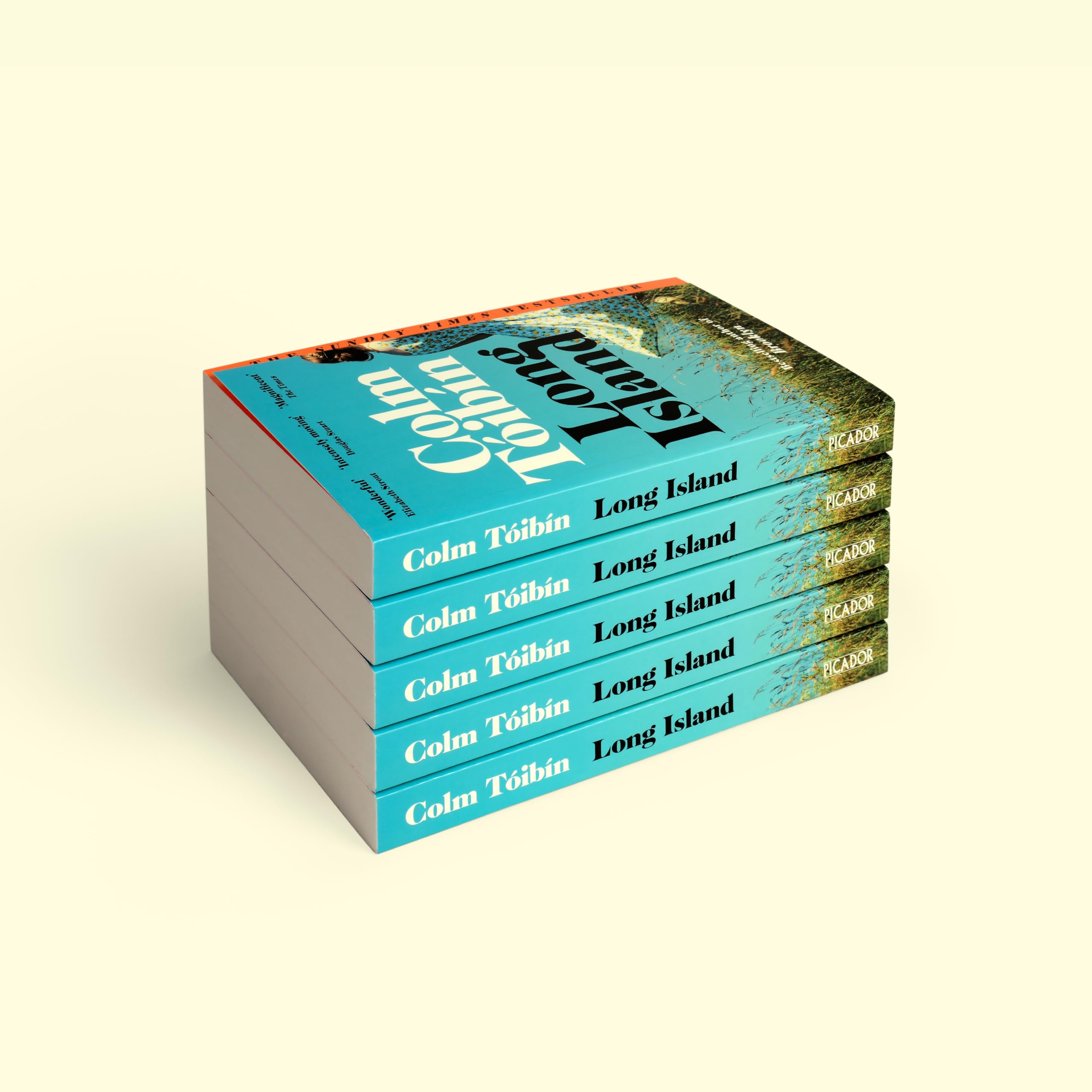 Long Island: The Instant Sunday Times Bestseller