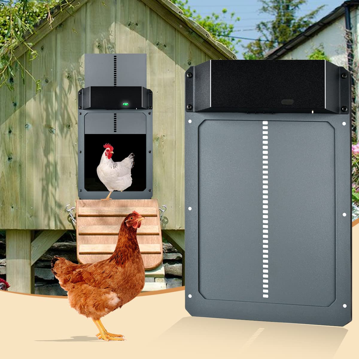 Buy Automatic Chicken Coop Door, Chicken Door with Timer and Light