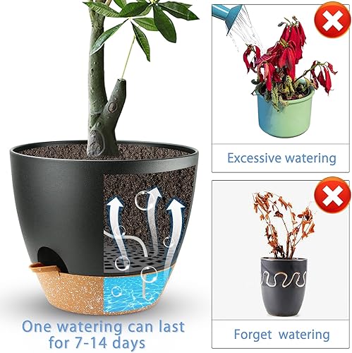 Vista 11 de Dorcy Macetero de riego automático de 12 pulgadas, macetas grandes con depósito extraíble profundo y agujeros de drenaje de malla múltiple, macetas