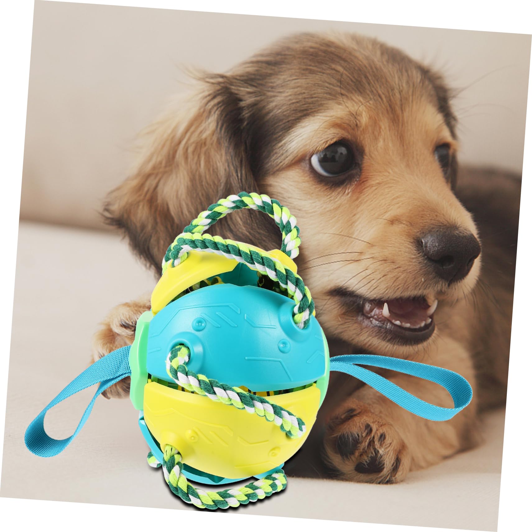 Hunde Wurfball Spielzeug für Draußen, Interaktiv, 1 Stück, Kunststoff
