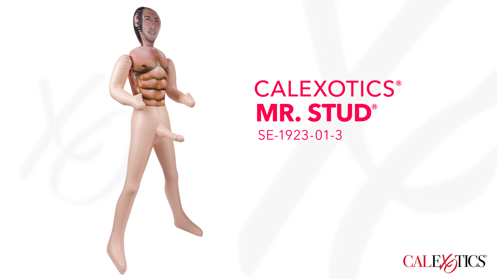 Amazon.com: CalExotics Mr. Stud Love Doll : Health & Household