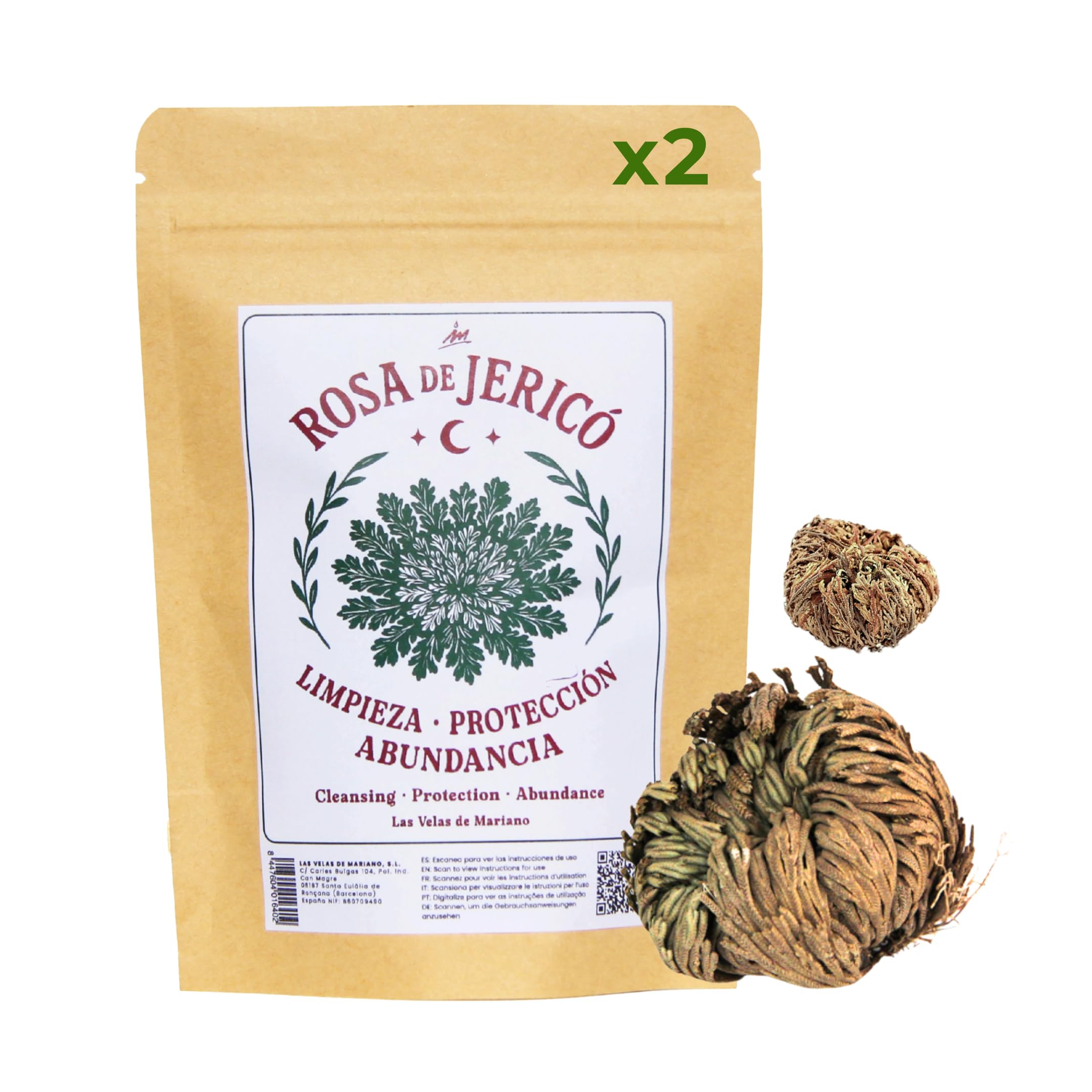 Rosa de Jericó, Planta Natural de Resurrección, para Prosperidad y Protección, con Instrucciones y Oración (2 Rosas)