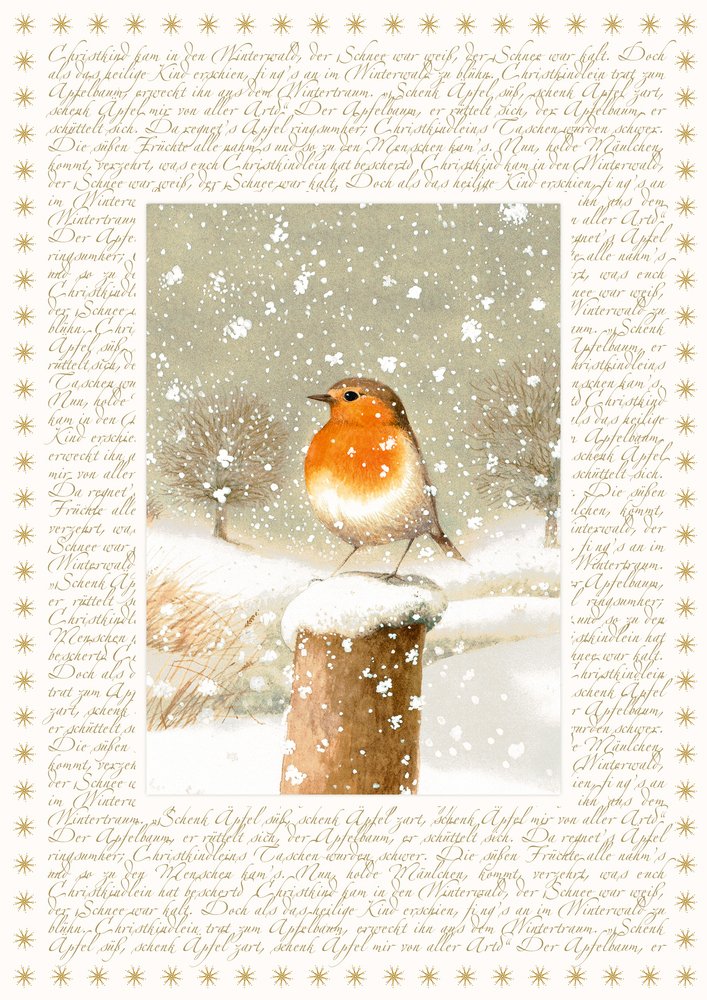Coppenrath Gold Christmas Robin Big Traditional German Advent Calendar 41 Cm Wide X 46 Cm Glitter Foil And Hanging Ribbon