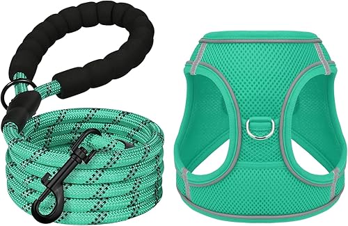 Erbine Juego de arnés y correa para perro arnés para perro arnés y correa reflectante para perro correa de perro a juego resistente de 5 pies para