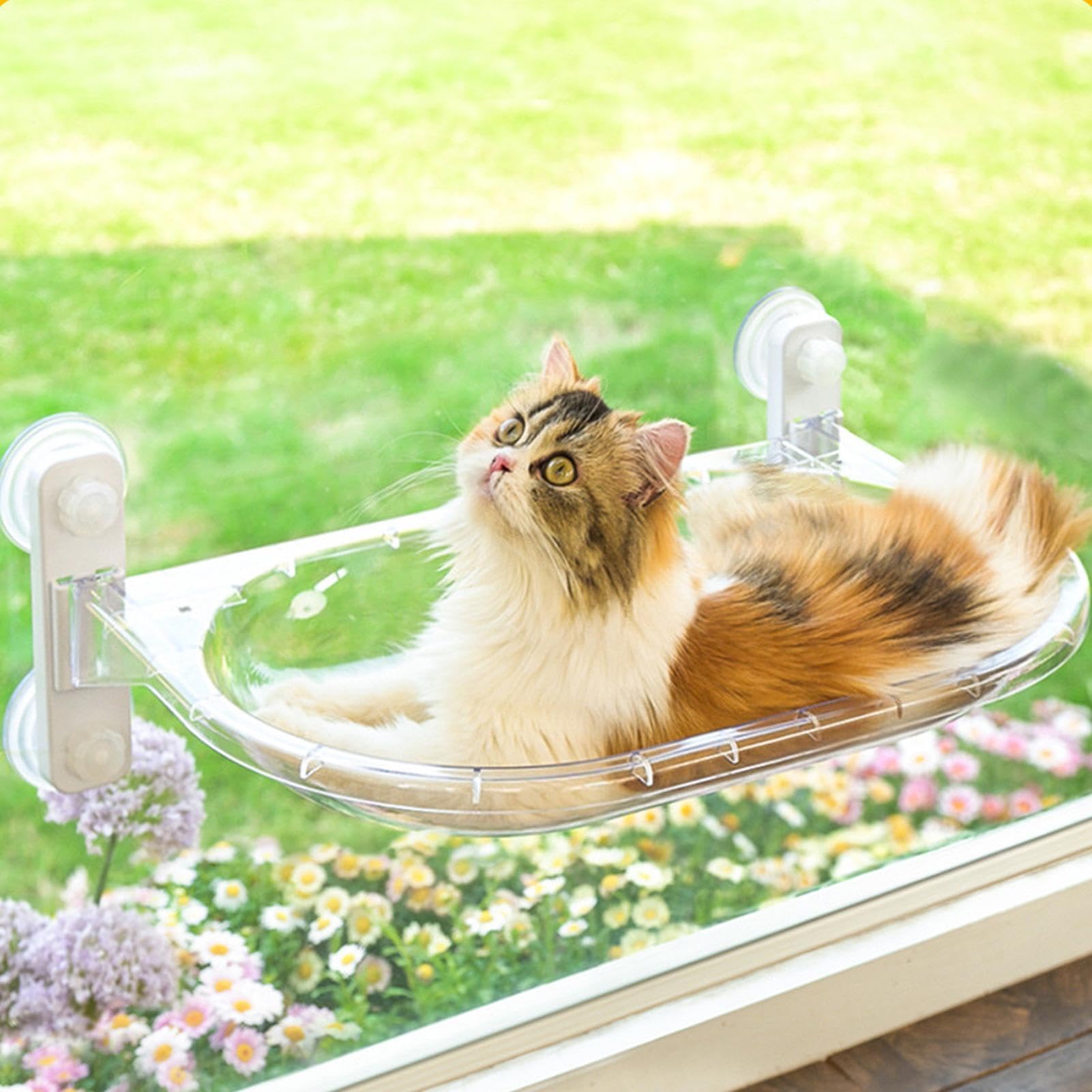 da finestra per gatto Amaca con Ventose | Con un cuscino rimovibile in morbido peluche e la cuccia per Balcone, l'Appartamento, il Sonno e