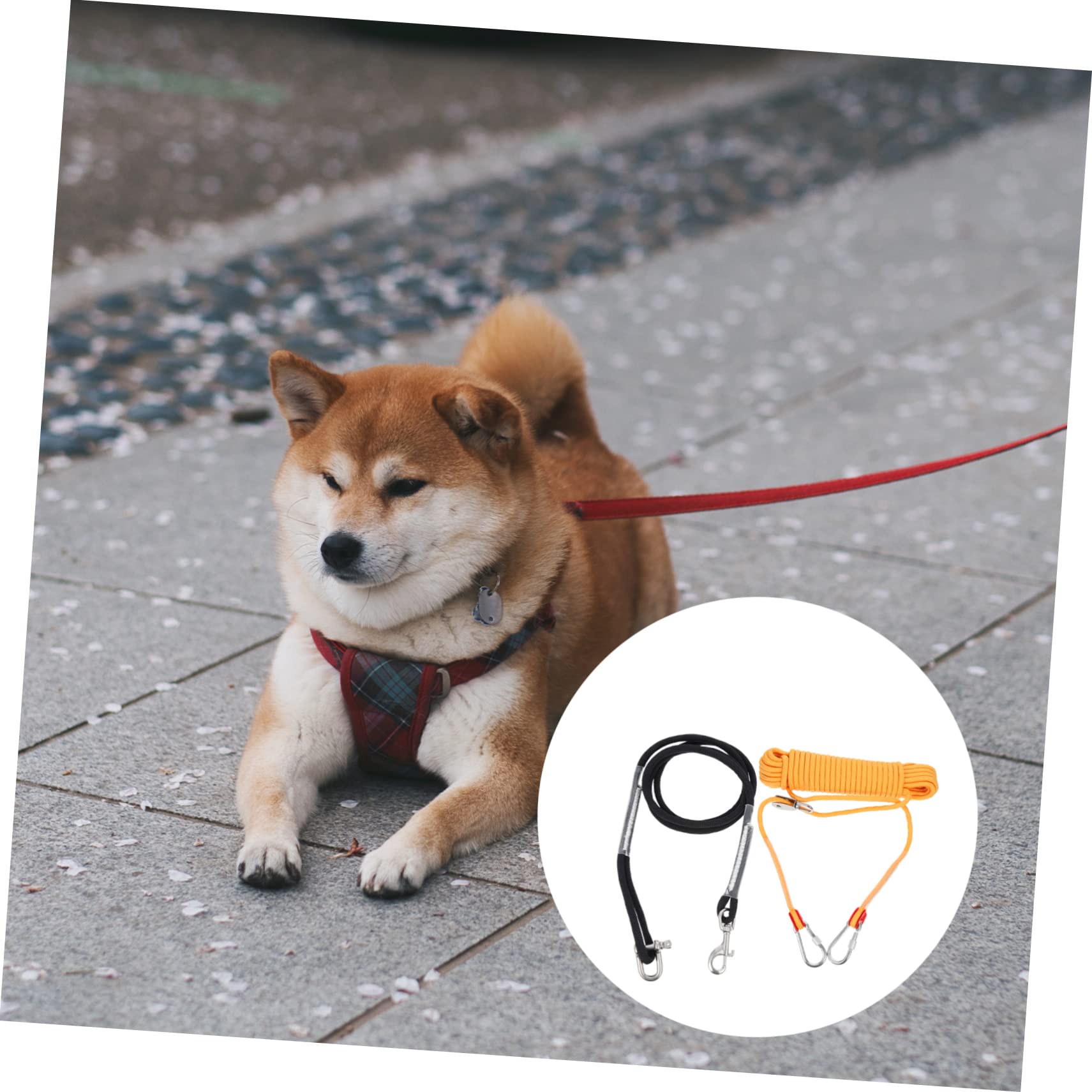 COLLBATH Equipo De Acampada Correa Perros Cadena Resistente Cable para Cachorros Diseño Hermoso y Práctico