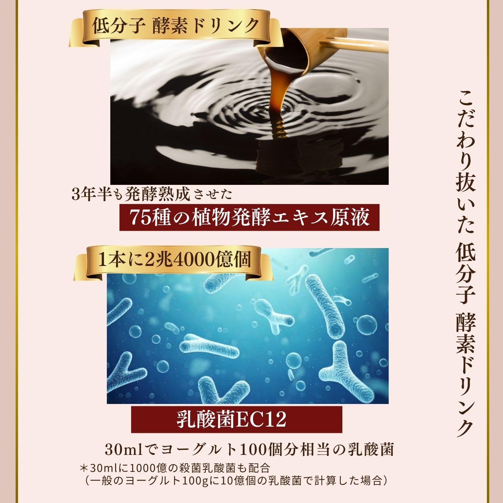 Amazon | ハーバルクレンズ酵素 酵素ドリンク 無添加 10ml×9包