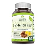 Dandelion Root Supplement | 520 Mg | 120 Veggie Capsules | Non-GMO | Gluten Free | Made in USA