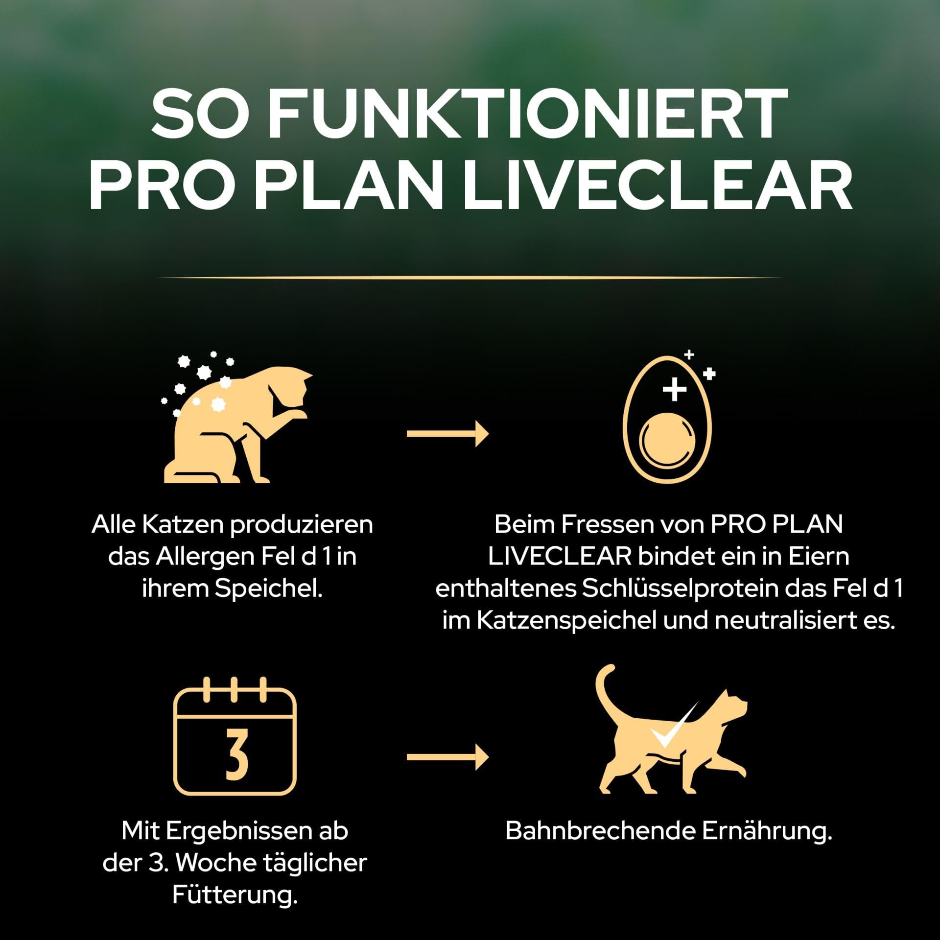 Purina PRO PLAN LiveClear Esterilizado Senior 7+ | 1,4 kg | Alimento Completo para Gatos | con Pavo