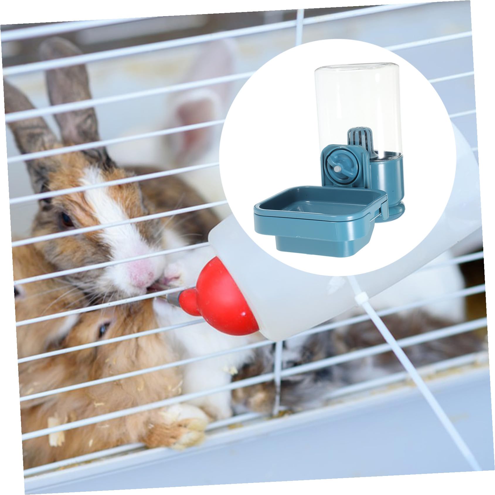 ORFOFE Distributore d Acqua per Conigli Mangiatoia Sospesa per Piccoli Animali Domestici Facile da Pulire e Resistente all Usura Design di Perdite