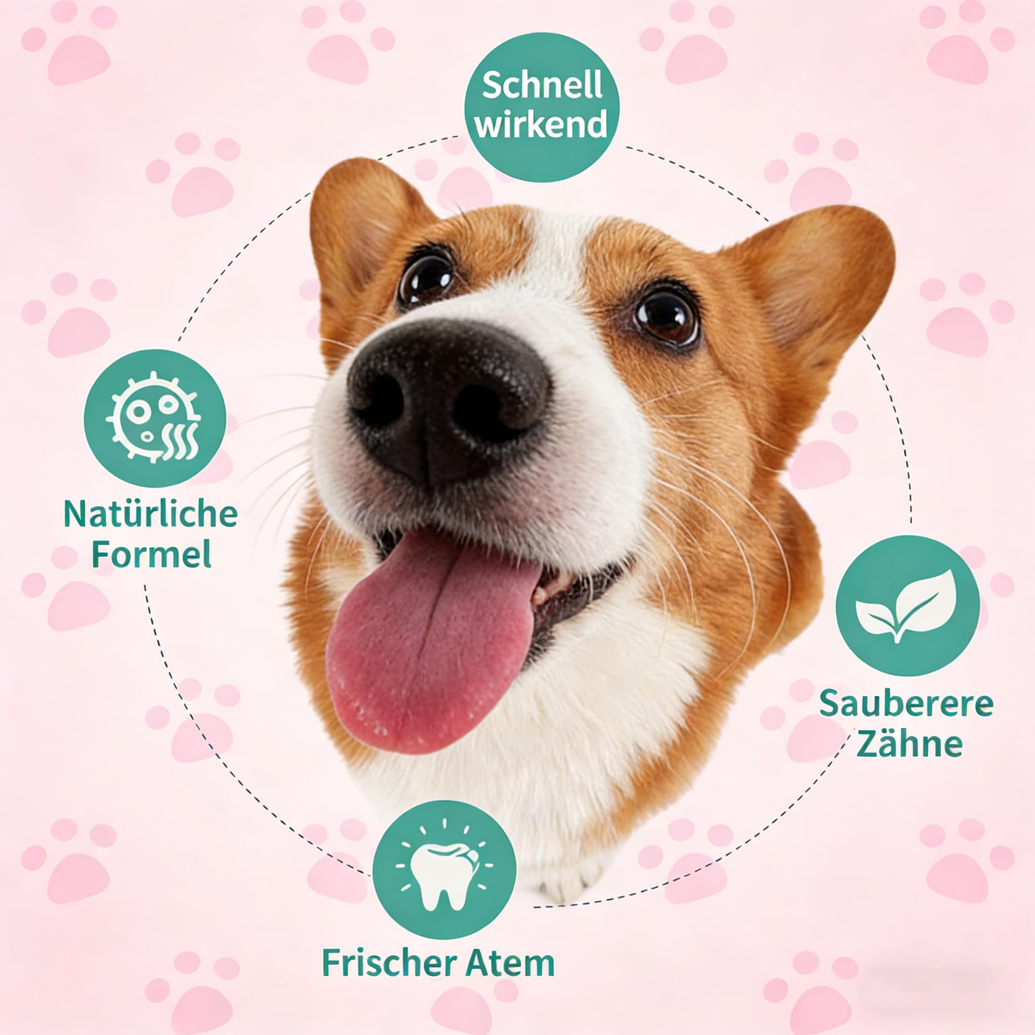 Natürlicher Atemfrischer Hundezahnspray und Katzenzahnspray - Zahnpflege ohne Zähneputzen, Plaquebekämpfung und Unterstützung der Zahnfleischgesundheit