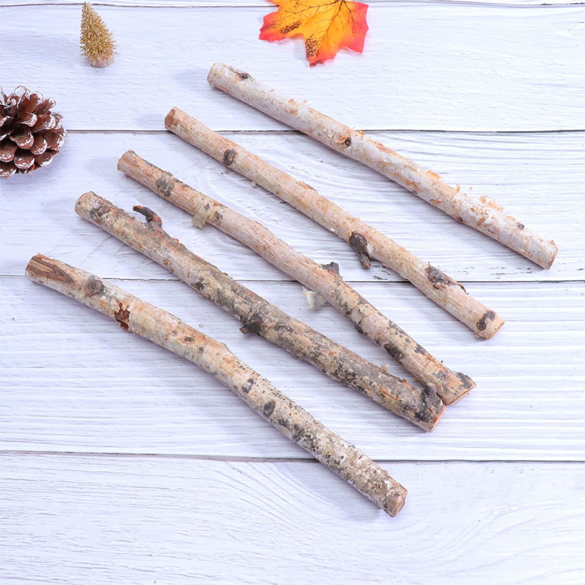 Lurrose 40 Pezzi Tronchi Decorativi in Betulla Naturali 10-20 Cm Corda, Rametti per Decorazione Vasi e Arredamento Casa, Elementi Secchi per Addobbi Natalizi e Artigianato Creativo