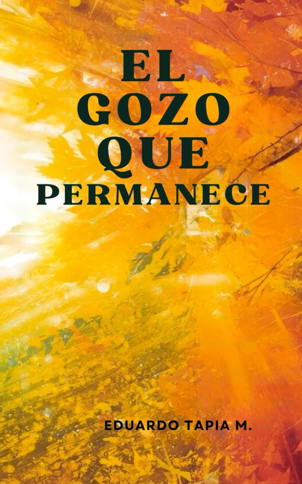 El Gozo que permanece: Una espiritualidad cristiana que trasciende el dolor y transforma la vida