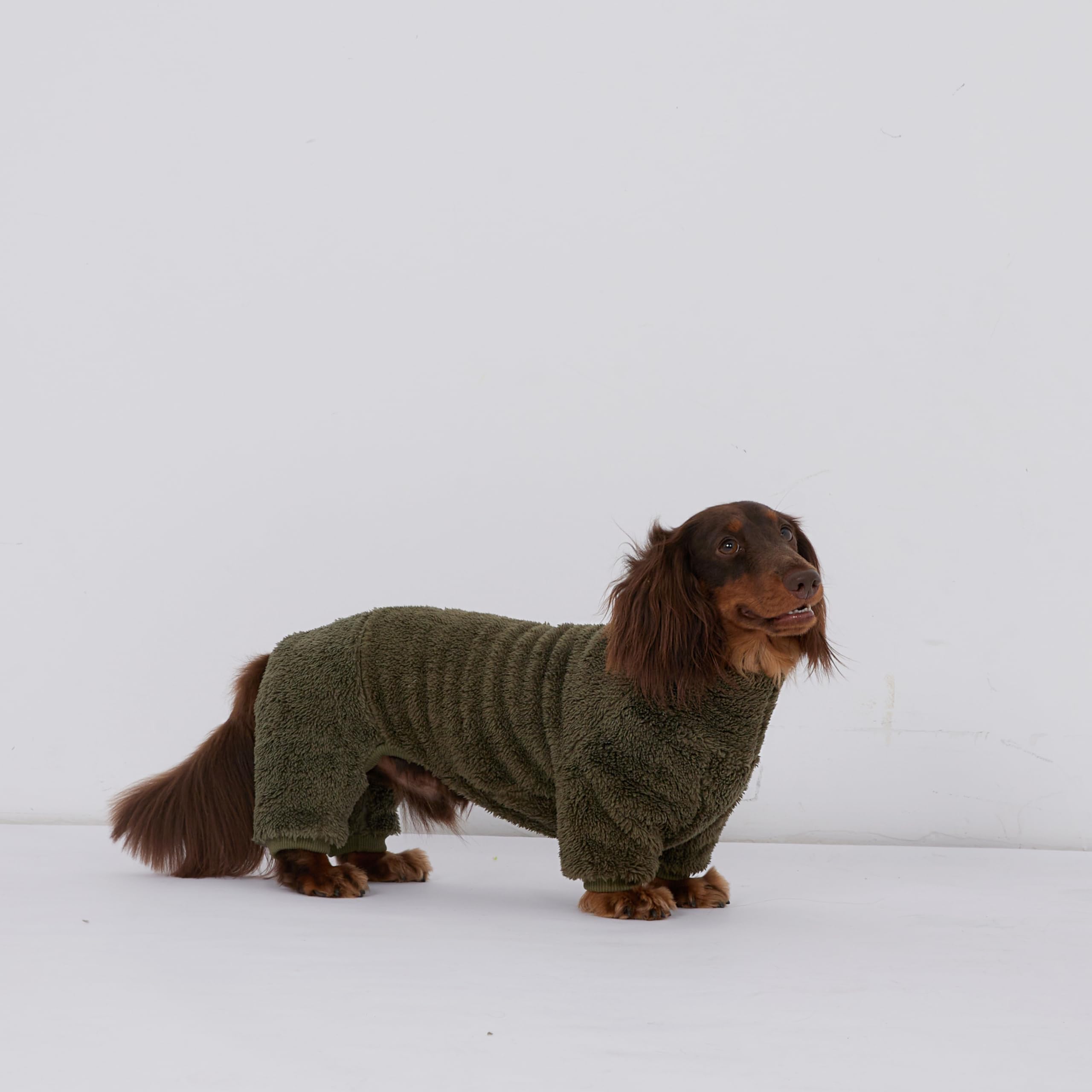 Fleece-Overall mit Dackel-Motiv, Rollkragenpullover, geeignet für Dackel, Winter, weich, gemütlich, Hunde-Pyjama, Kleidung (Dunkelgrün, XL)