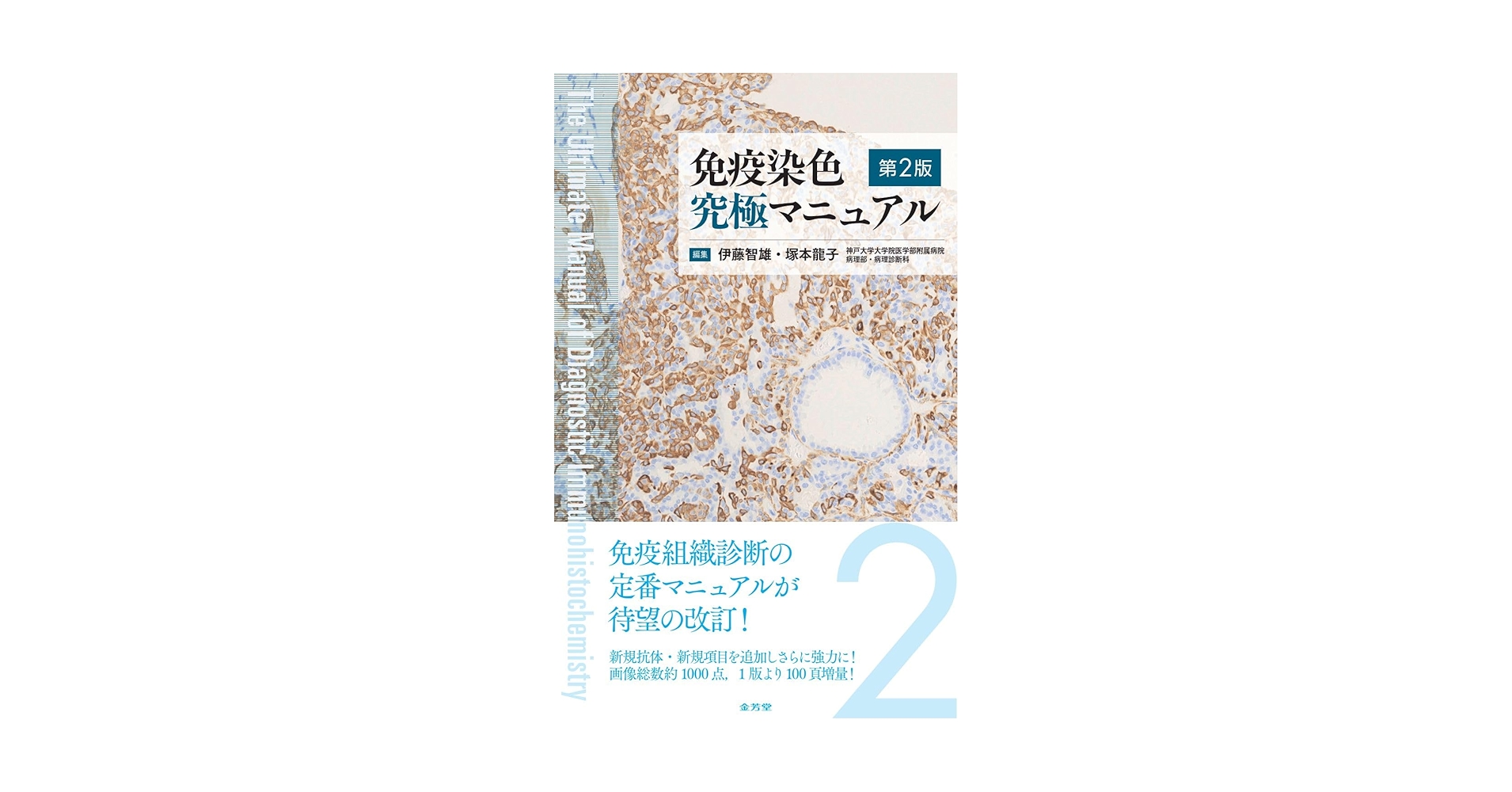 免疫染色 究極マニュアル 免疫染色究極マニュアル | 伊藤 智雄 |本 | 通販 | Amazon