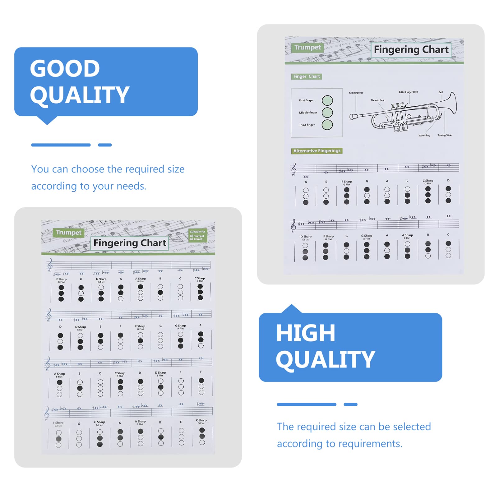 ifundom 5pezzi Poster Di Riferimento Per Accordi Di Tromba Guida Pratica Per Principianti Diagramma e Adatto Per Musicisti Alle Per Lezioni Di Tromba e Amanti Della Musica