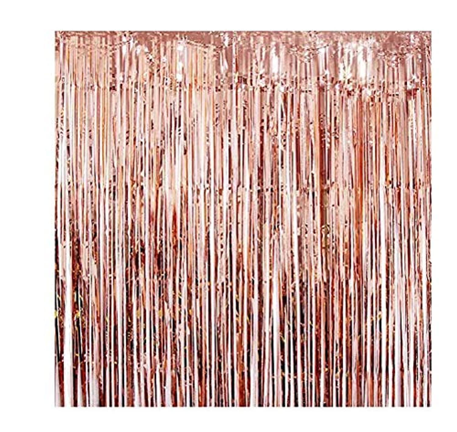 2 Pack Foil Fringe Curtains Photo Backdrop, 3Ft X 8 Ft Shiny Metallic Tinsel Party Door Curtain Booth Props Birthday Wedding Bridal Baby Shower Decorations
