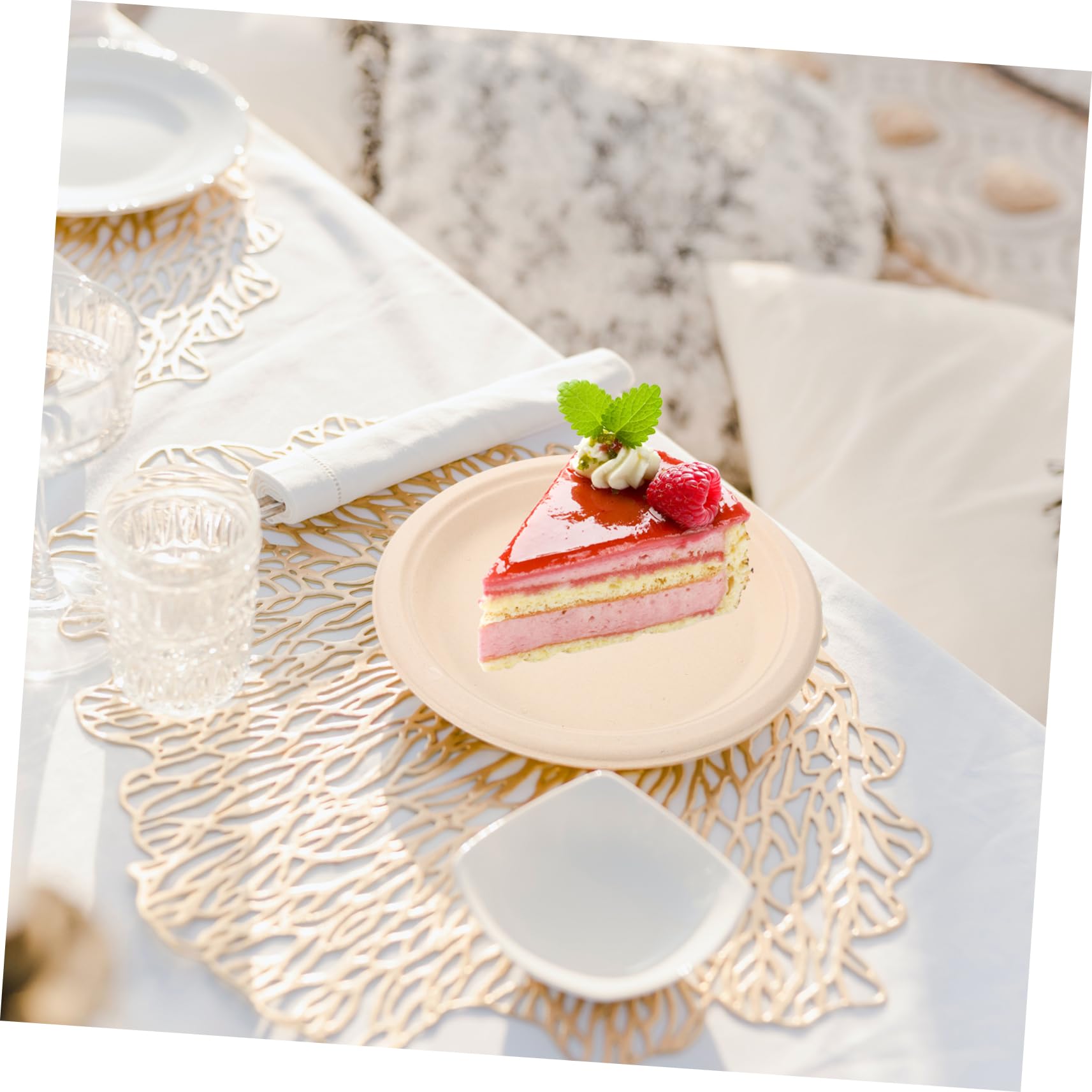 PACKOVE Pappteller aus Papier 50 Stück Stabil und Praktisch für Partys Grillabende Hochzeiten Picknicks und Desserts