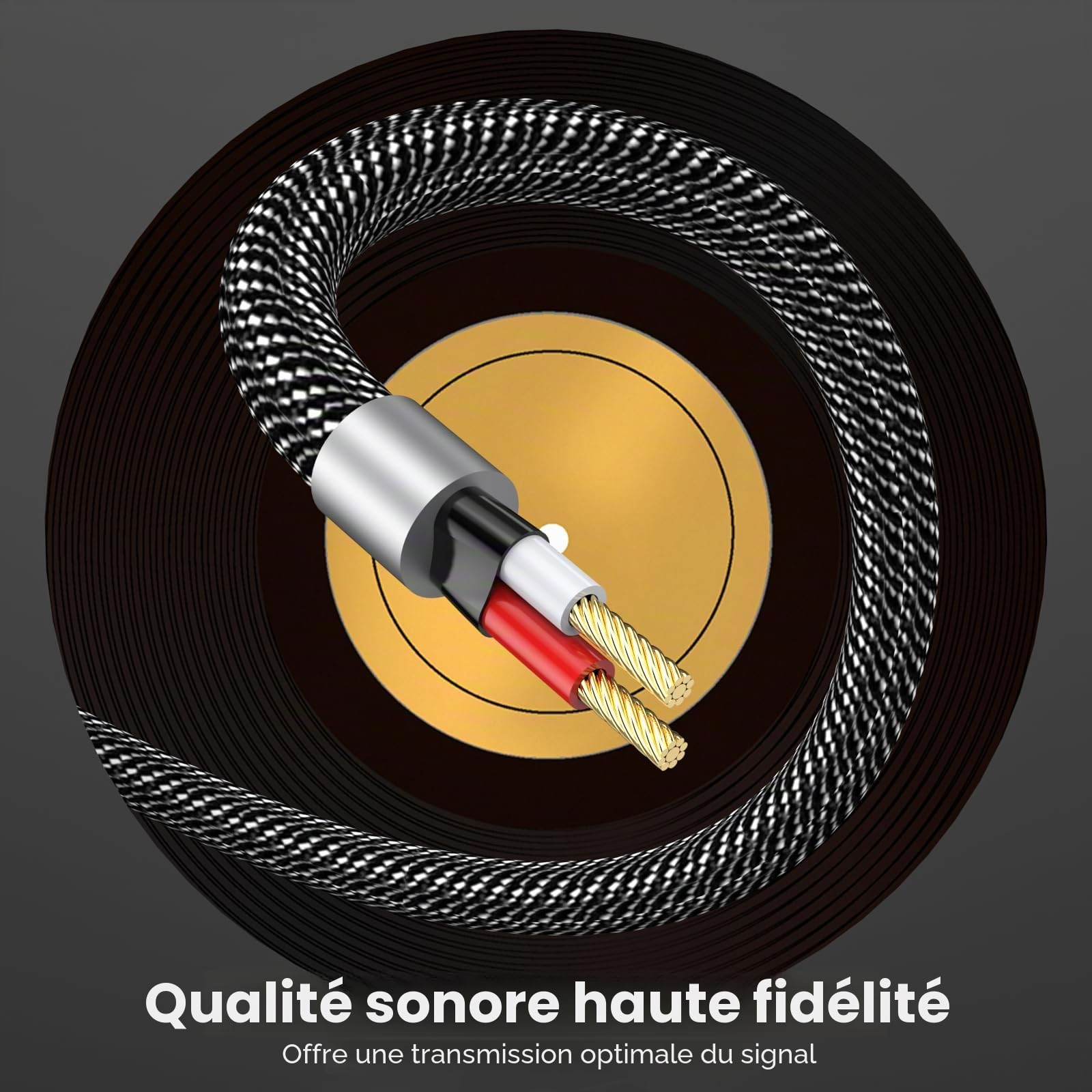 MOSWAG Câble Audio 3.5mm vers Double 6.35mm 1M, 6.35 vers 3.5 Mâle Y Splitter TRS Jack, Plaqué Or Nylon Tressé 3,5mm à 2X 6,35mm Splitter Câble pour Amplificateur, Cinéma Maison