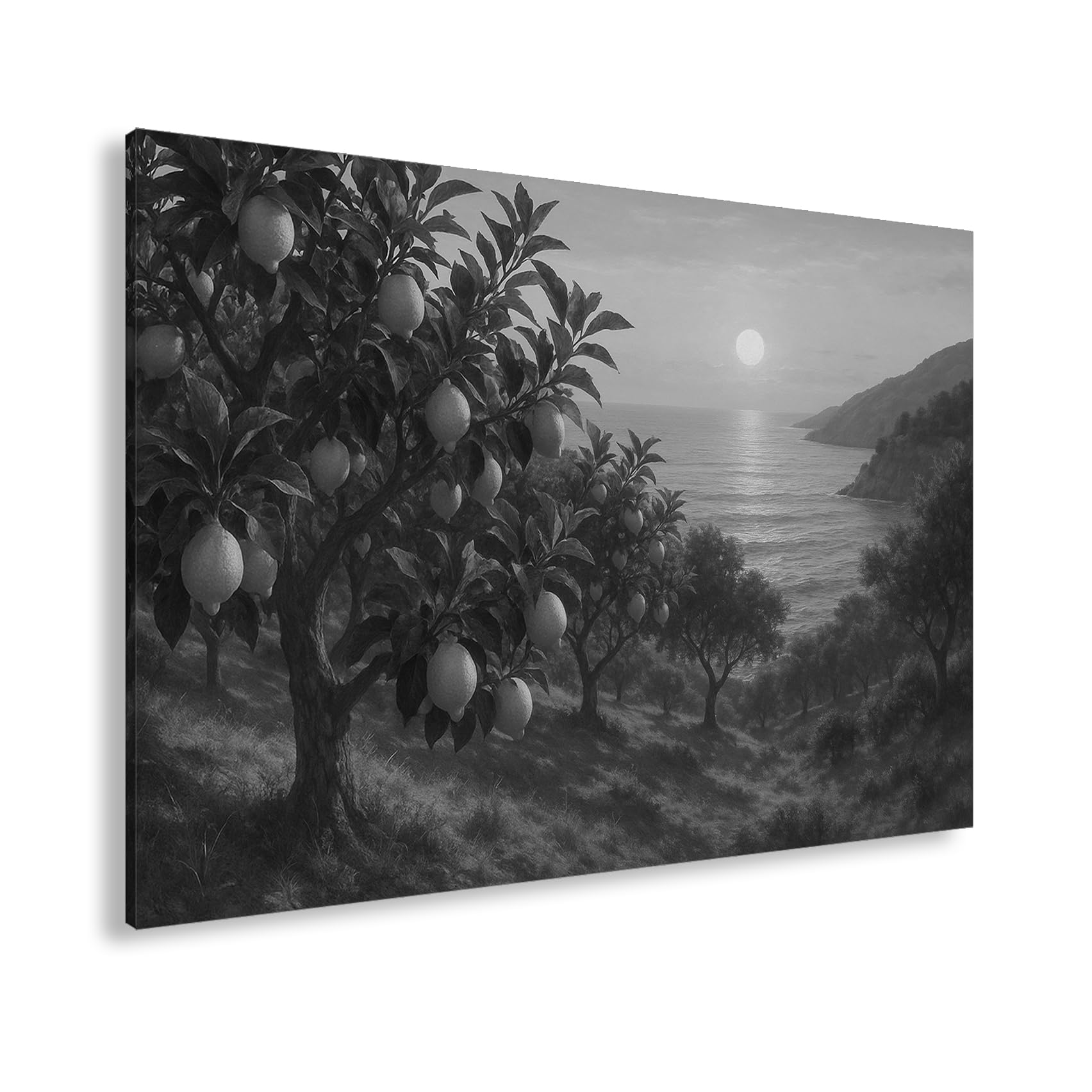 Leinwandbild Zitronenhain am Meer bei Sonnenuntergang 70x50cm Schwarz&Weiß