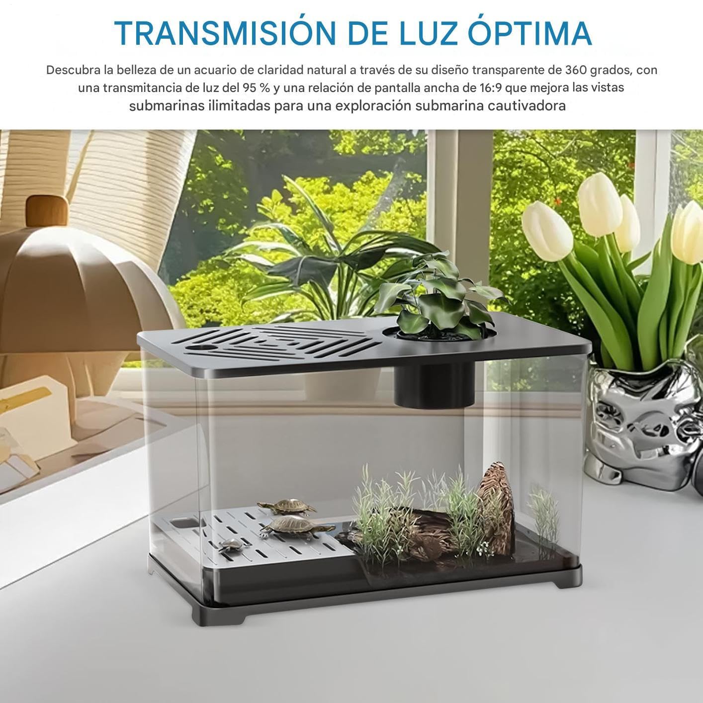 Pecera Gran Kit Acuario Pecera Escritorio