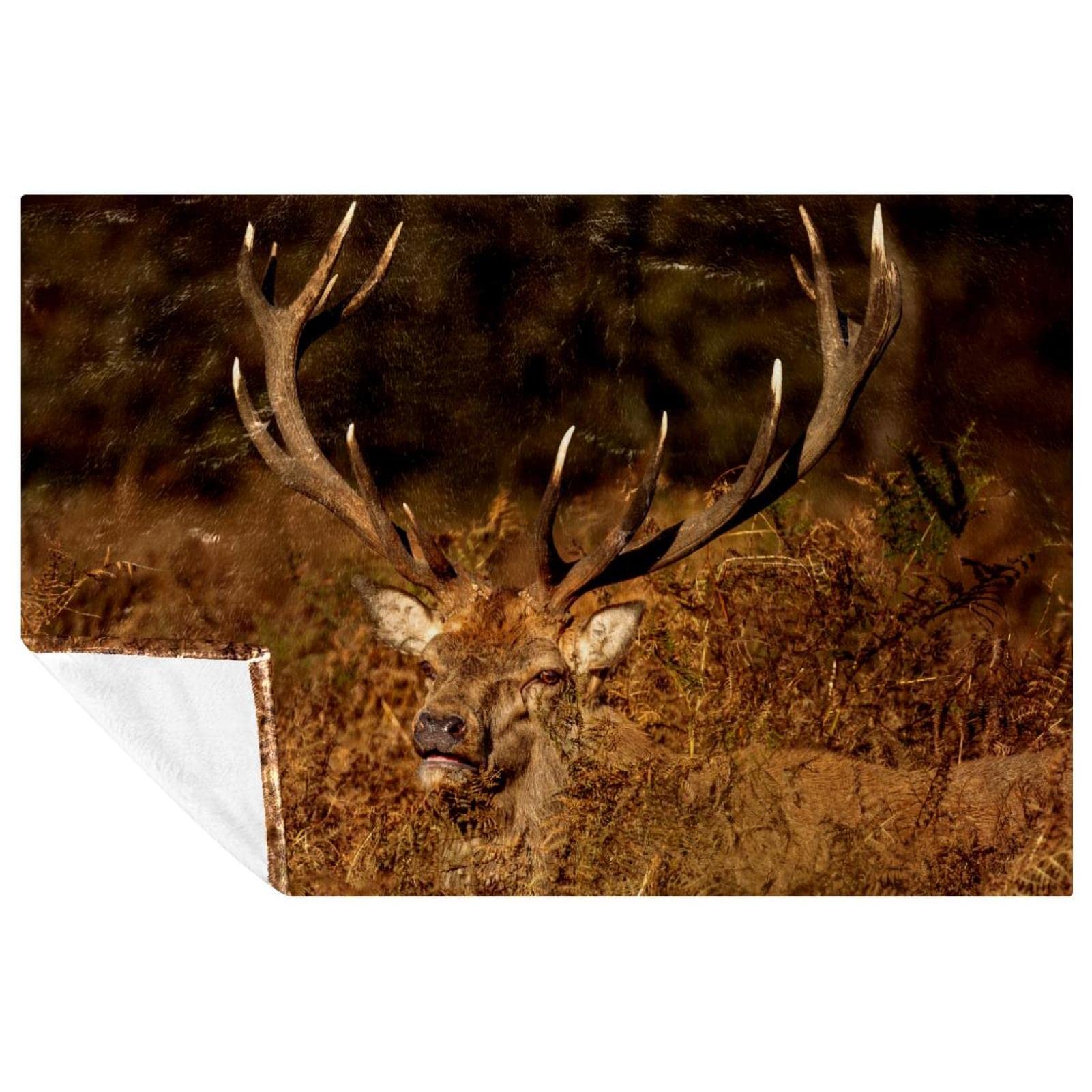 Plaid cerf rouge dans la forêt couverture chaude lit haut de gamme 150x100