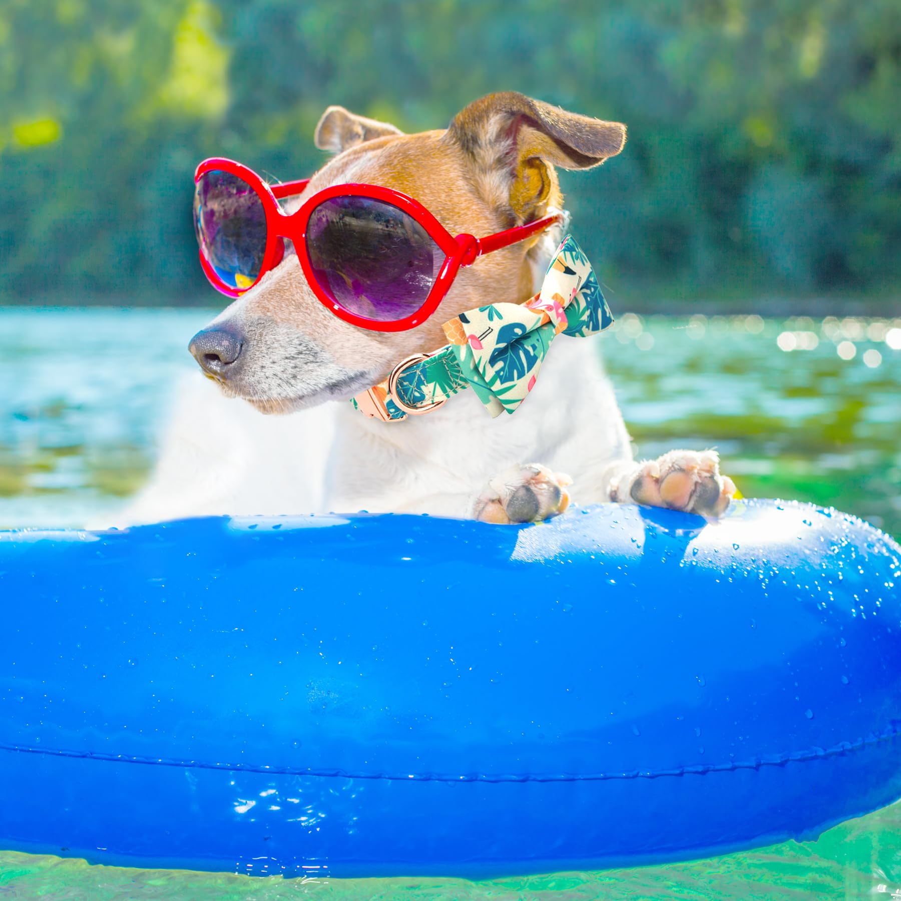 Verstellbares Hundehalsband mit Fliege und niedlichem Muster, für Frühling und Sommer, weiches Haustierhalsband für kleine, mittelgroße und große Hunde