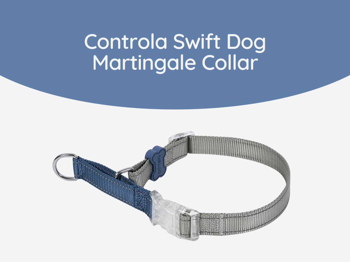 Reflective Martingale Dog Collar,Personalized Training Dog Collar,Custom Martingale Dog Collars with Embroidered Name and Phone Nu Reflective Martingale Dog Collars. Dog Collar with Quick Release