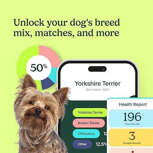 Miniatura 3 de Ancestry Dog DNA Test: prueba en casa, identificación de raza y conocimientos de rasgos, análisis de genética canina, regalo único para padres