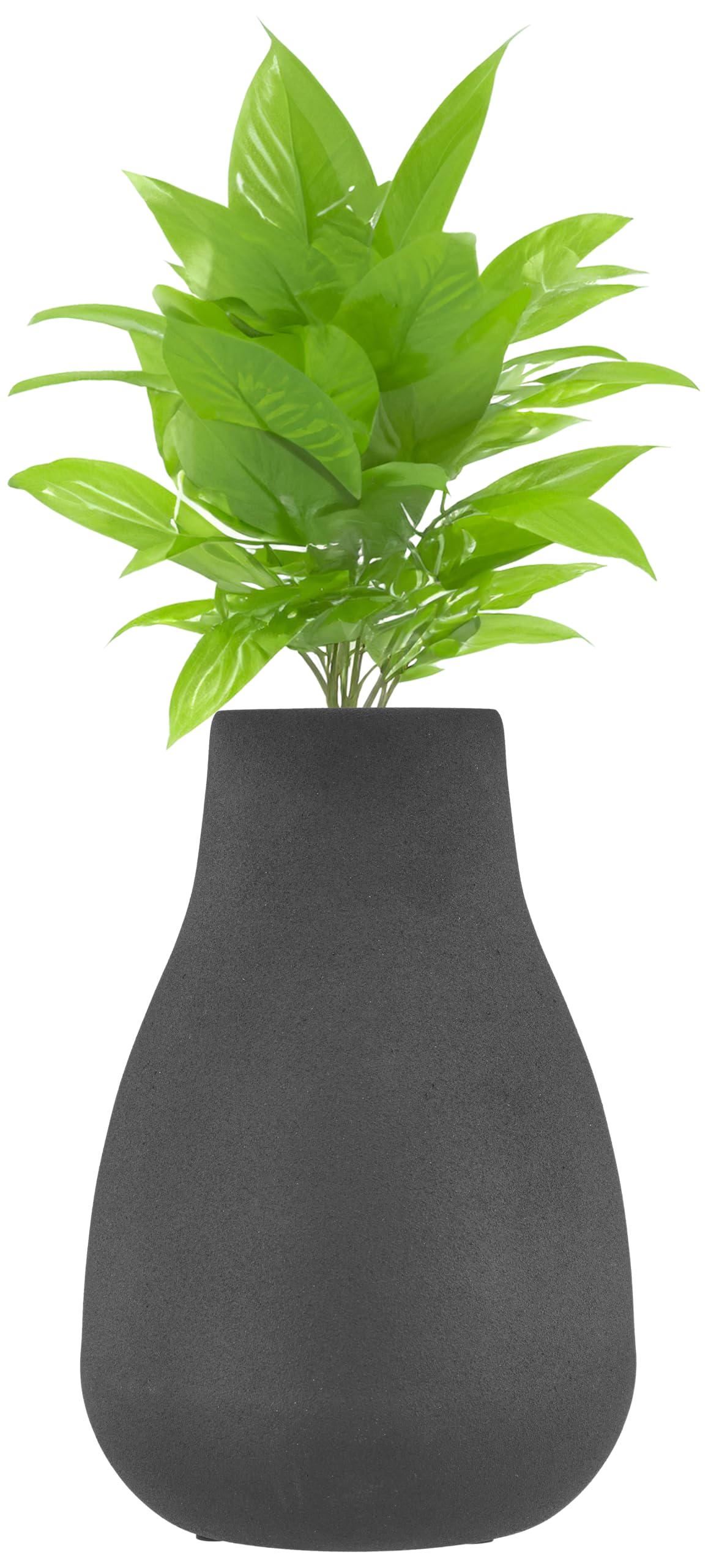 Amazon Brand - Solimo Flower Vase with Rust-Resistant Coating | Stylish and Easy-to-Clean Finish | Compact Design for Modern Décor | Bouquet Vase (Big) - Textured Black-image-27