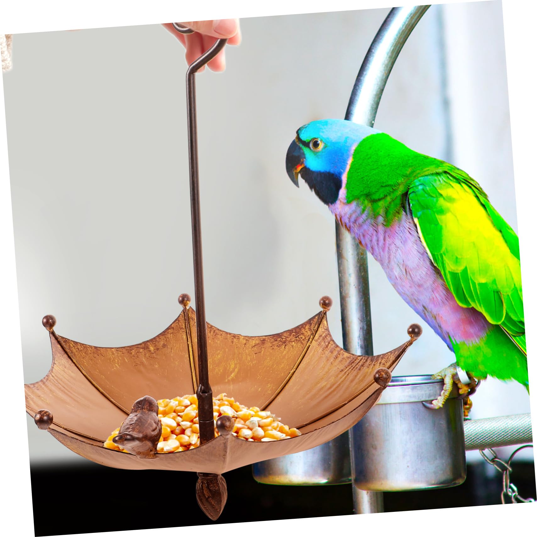 Mangiatoia per Uccelli da Appendere Metallo Design per e Alimentatore Resistente Agenti Atmosferici per Uccelli e Decorare Spazi Esterni