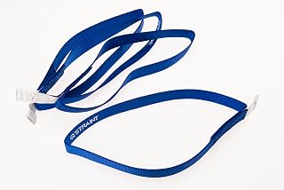 Q5-7580-6 Blue Webbing Loop Strap 20 Inch Length – Pack of 4, Durable Vehicle Tie-Down Accessory for Wheelchair Transport Systems