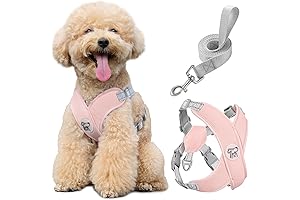 Pawaboo No Choke Harness for Small Dogs