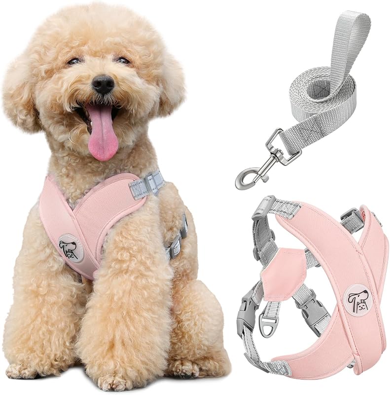 Pawaboo Small Dog Harness and Leash Set, Puppy Harness X-Frame Adjustable | Dog Vest Harness for Small Medium Sized Dogs No Pull No Choke, Soft Breathable Pet Harness for Walking Outing, (M, Pink)