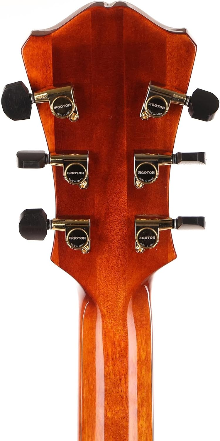 Eastman AR580CE-HB Archtop Guitar with hard case