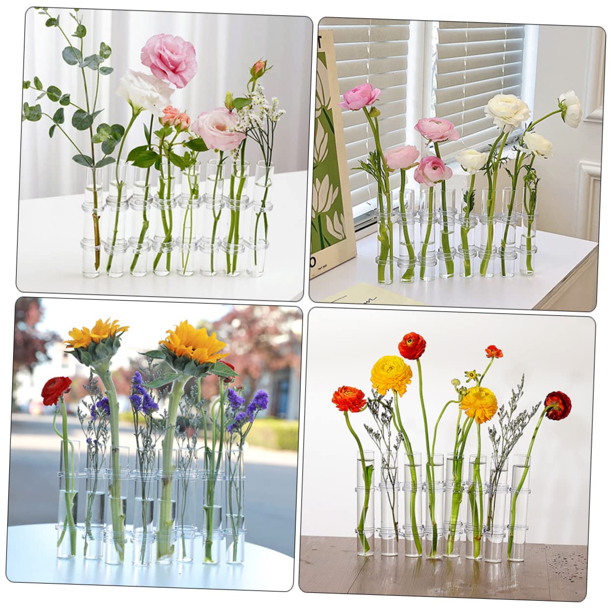 Vase en Verre de Propagation de Plantes, 1 Set, Hydroponique | Bureau et Maison, Terrarium Végétal à Tubes à Essai, Décoratif pour Plantes D’intérieur