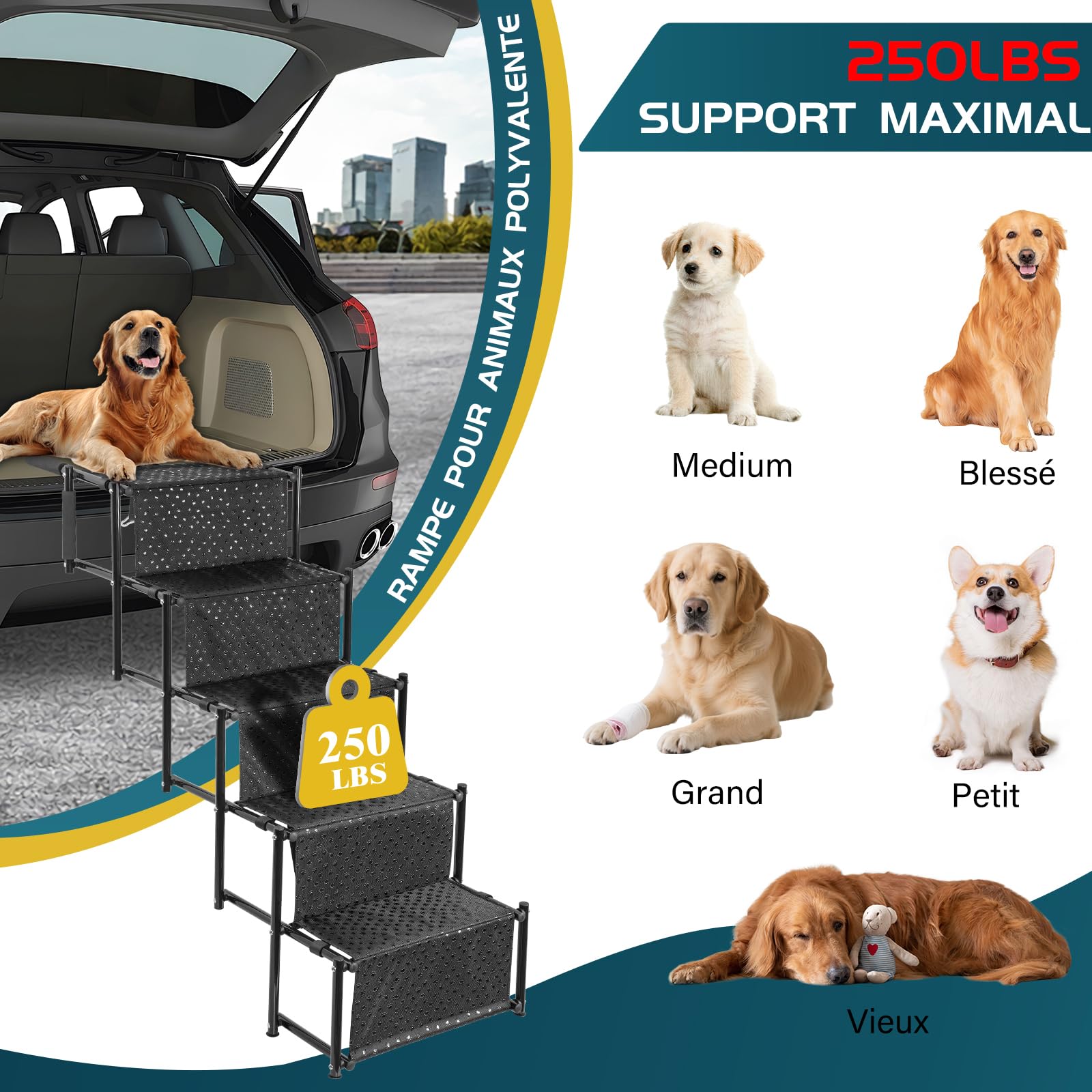 OUUTMEE Escalier pour Chien à 5 marches, Rampe Pliable avec Surface antidérapante, escalier pour Chiens Petits et Grands jusqu'à 80 kg, pour Voitures et SUV