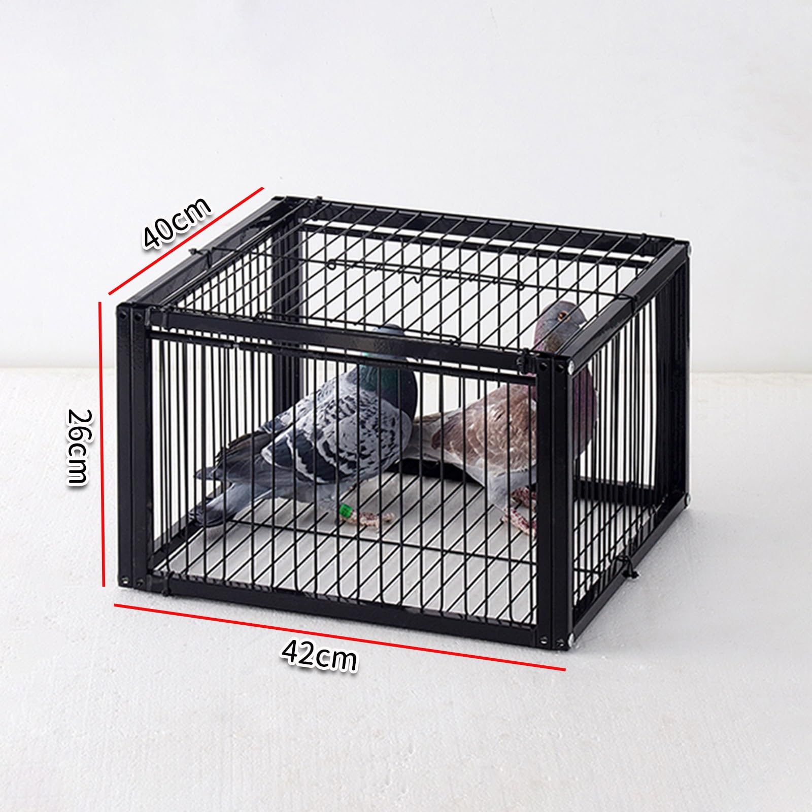 Trampa para Palomas a Prueba de Fugas: Jaula Plegable galvanizada para pájaros, diseño portátil para un fácil Montaje, solución eficaz para el Control de Aves en el hogar y el jardín.