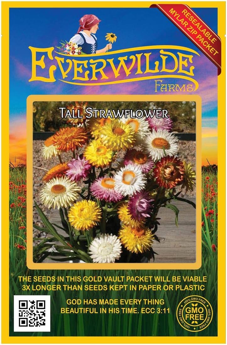 Everwilde Farms - 1/4 Lb Strawflower Wildflower Seeds - Gold Vault