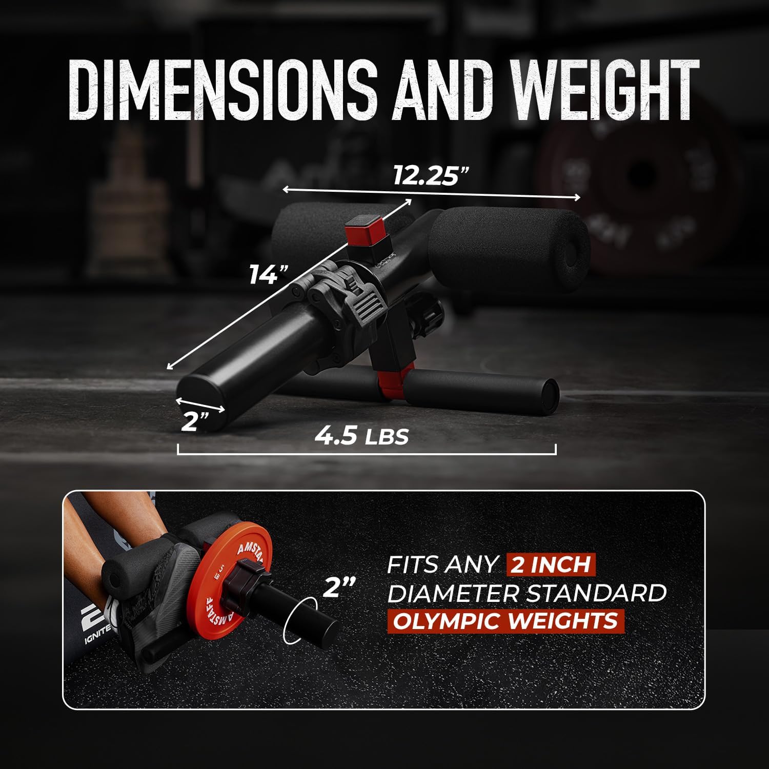 Amstaff Fitness Adjustable Tib Bar - Tibialis Anterior Trainer with Durable Steel Construction & Comfortable High-Density Foam - Perfect for Home & Professional Gyms